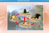 Интерактивные курсы. Биология 7 класс. Базовый. - fgospostavki.ru - Норильск