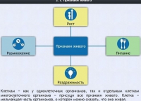 Интерактивные курсы. Биология 5 класс. Базовый - fgospostavki.ru - Норильск