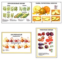 Плакаты ПРОФТЕХ "Ассортимент овощных культур" (12 пл, винил, 70х100) - fgospostavki.ru - Норильск