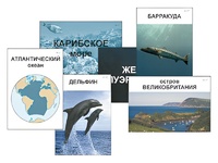 Модель-аппликация "Океаны. Знакомство" (ламинированная) - fgospostavki.ru - Норильск