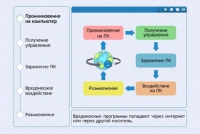Интерактивные курсы. Информатика 10 класс . Базовый. - fgospostavki.ru - Норильск