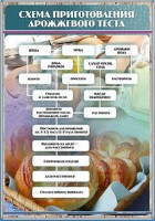 Стенд "Схема приготовления дрожжевого теста" - fgospostavki.ru - Норильск
