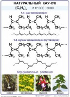 Комплект демонстрационных таблиц по химии "Полимеры" (комплект 12 таблиц) - fgospostavki.ru - Норильск