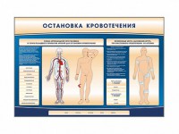 Электрифицированный стенд-тренажер "Остановка кровотечения" - fgospostavki.ru - Норильск