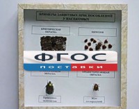 Коллекция энтомологическая "Примеры защитных приспособлений у насекомых" - fgospostavki.ru - Норильск