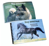 Пособие для слабовидящих - Домашние животные - fgospostavki.ru - Норильск