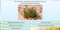 Интерактивные курсы. Окружающий мир 3 класс . Базовый. - fgospostavki.ru - Норильск