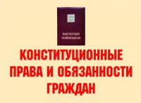 Комплект плакатов "Конституционные права и обязанности граждан" - fgospostavki.ru - Норильск
