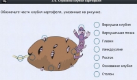 Интерактивные курсы. Биология 6 класс. Расширенный - fgospostavki.ru - Норильск