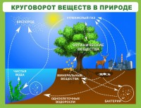 Стенд "Круговорот веществ" - fgospostavki.ru - Норильск