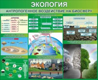 Стенд "Экология. Антропогенное воздействие на биосферу" - fgospostavki.ru - Норильск