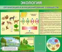 Стенд "Экология. Организация и функционирование сообществ" - fgospostavki.ru - Норильск