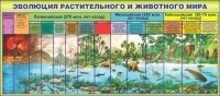 Стенд "Эволюция растительного и животного мира" - fgospostavki.ru - Норильск
