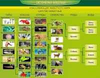 Стенд "Систематика животных" - fgospostavki.ru - Норильск