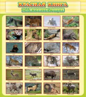 Стенд "Красная книга - млекопитающие" - fgospostavki.ru - Норильск