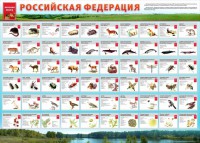 Стенд "Красная книга РФ" - fgospostavki.ru - Норильск