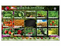 Комплект оборудования "Живой уголок" (растения) - fgospostavki.ru - Норильск