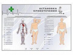 Электрифицированный стенд "Остановка кровотечения" - fgospostavki.ru - Норильск