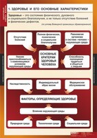 Комплект таблиц. ОБЖ. Здоровый образ жизни. - fgospostavki.ru - Норильск
