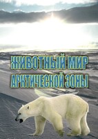 DVD "Животный мир Арктической зоны" - fgospostavki.ru - Норильск