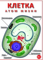 DVD "Клетка - "атом жизни" - fgospostavki.ru - Норильск