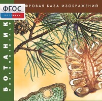 Ботаника. Микрофотографии. (Цифровая база изображений) - fgospostavki.ru - Норильск