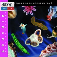 Биология. Микрофотографии. (Цифровая база изображений) - fgospostavki.ru - Норильск
