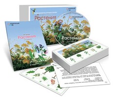 Комбинированное наглядное пособие «Растения» - fgospostavki.ru - Норильск