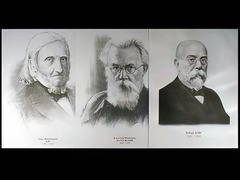Портреты биологов (26 штук, формат А3) - fgospostavki.ru - Норильск