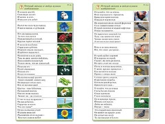 Комплект карточек (10) "Обучающий калейдоскоп. Природа" - fgospostavki.ru - Норильск