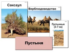 Модель-аппликация "Природные зоны России" (ламинированная) - fgospostavki.ru - Норильск