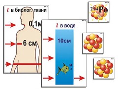 Модель-аппликация "Явление радиоактивности" (ламинированная) - fgospostavki.ru - Норильск