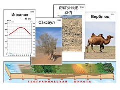 Модель-аппликация "Природные зоны" - fgospostavki.ru - Норильск