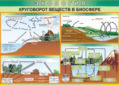 Таблица "Круговорот веществ в биосфере" (100х140 сантиметров, винил) - fgospostavki.ru - Норильск