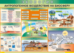 Таблица "Антропогенное воздействие на биосферу" (100х140 сантиметров, винил) - fgospostavki.ru - Норильск