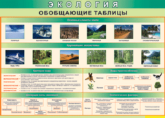 Таблица "Экология. Обобщающие таблицы" (100х140 сантиметров, винил) - fgospostavki.ru - Норильск