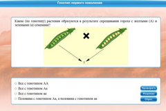 Интерактивные курсы. Биология 11 класс. Базовый. - fgospostavki.ru - Норильск