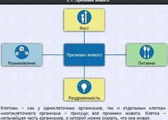 Интерактивные курсы. Биология 5 класс. Базовый - fgospostavki.ru - Норильск