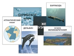 Модель-аппликация "Океаны. Знакомство" (ламинированная) - fgospostavki.ru - Норильск