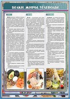 Стенд "Белки. Жиры. Углеводы" - fgospostavki.ru - Норильск