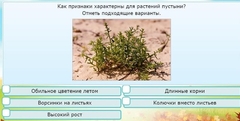 Интерактивные курсы. Окружающий мир 3 класс . Базовый. - fgospostavki.ru - Норильск
