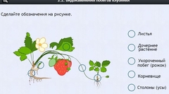 Интерактивные курсы. Биология 7 класс. Расширенный. - fgospostavki.ru - Норильск