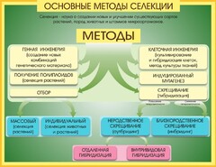 Стенд "Методы селекции и биотехнологии" - fgospostavki.ru - Норильск