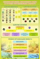 Стенд "Классификация животного мира" - fgospostavki.ru - Норильск