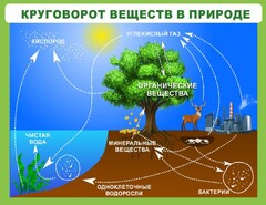 Стенд "Круговорот веществ" - fgospostavki.ru - Норильск
