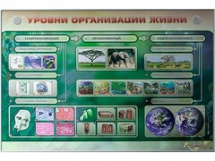 Электрифицированный стенд "Уровни организации жизни" - fgospostavki.ru - Норильск