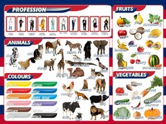 Стенд "Цвета, животные, профессии, фрукты, овощи" - fgospostavki.ru - Норильск