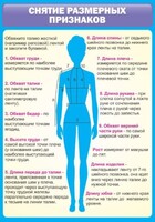 Стенд "Снятие мерок" Вариант 2 - fgospostavki.ru - Норильск