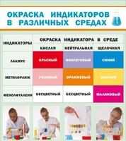 Стенд "Окраска индикаторов в различных средах" - fgospostavki.ru - Норильск