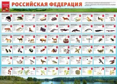 Стенд "Красная книга РФ" - fgospostavki.ru - Норильск